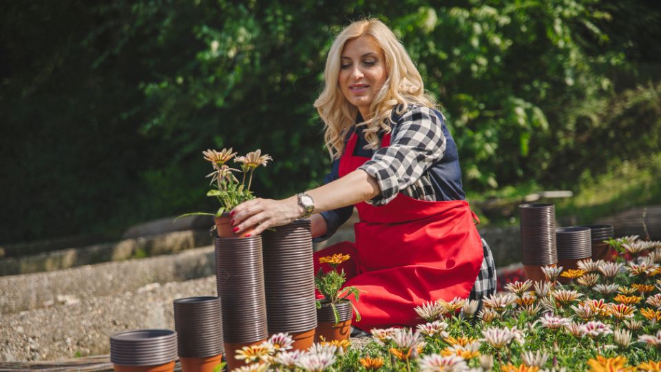 A pregnant woman gardening in her backyard